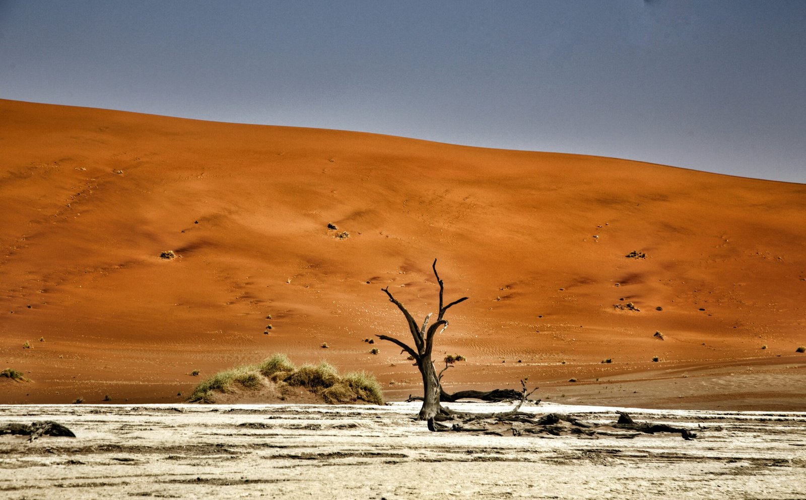 Climate change